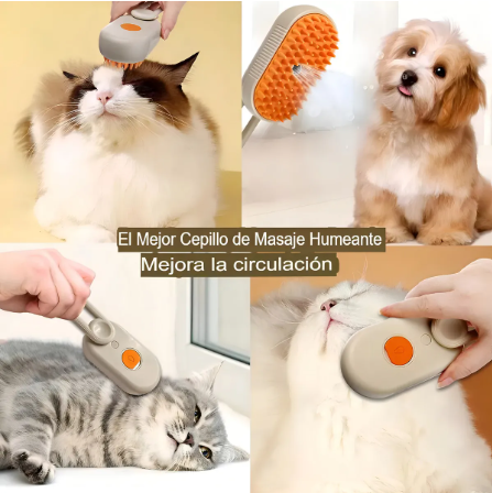 COMBO | Correa Retráctil + Cepillo para Mascota