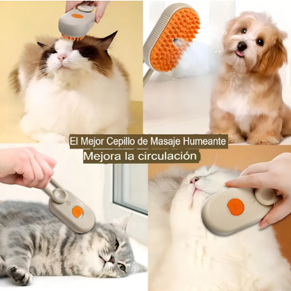 COMBO | Correa Retráctil + Cepillo para Mascota